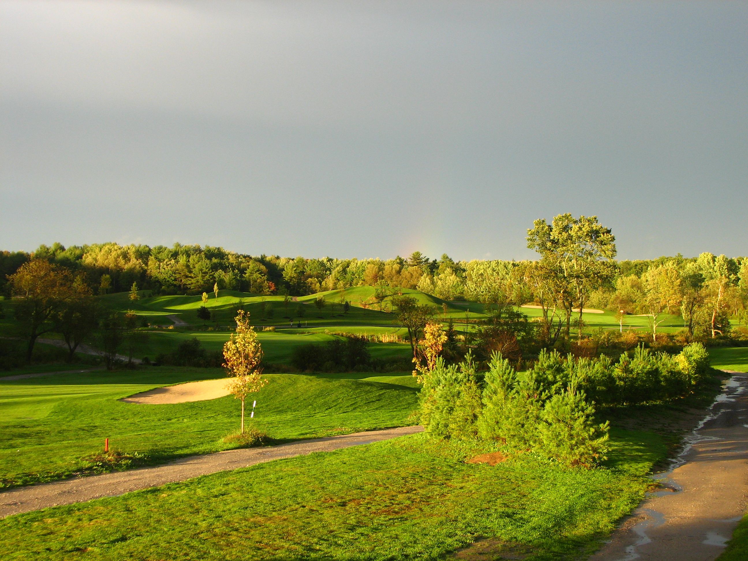 The fairway at Toddy Brook Golf Course, surrounded by Maine woodland